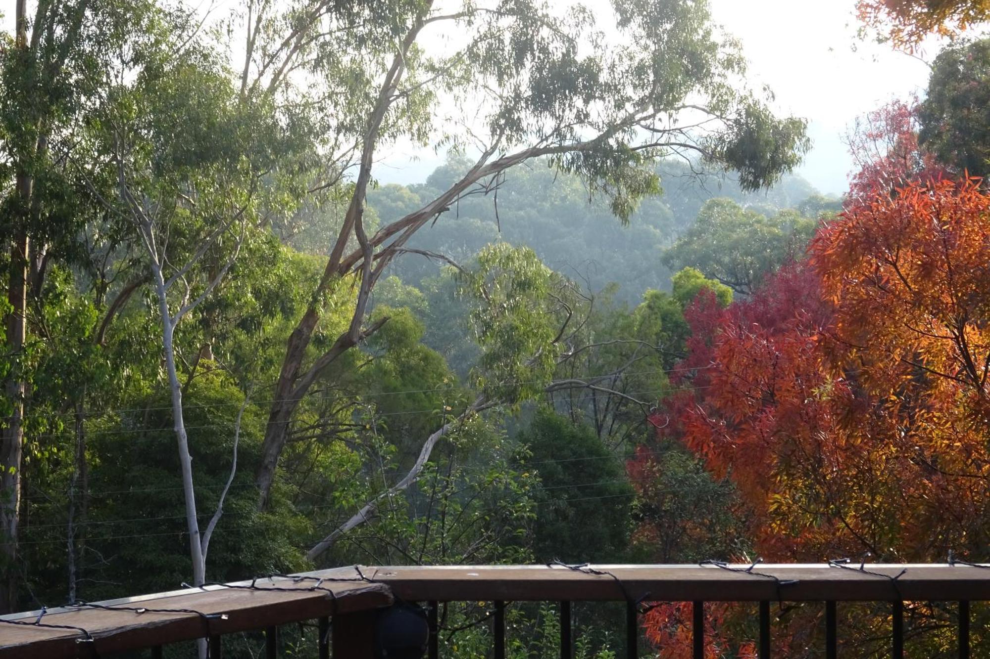 Yarra Ranges Country Apartment Mount Evelyn Exteriér fotografie